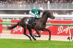 Treasure The Moment: A Thoroughbred Sensation in 2025 in Full Bloom