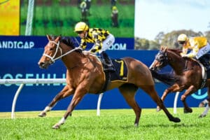 breednet images autumn glow rosehill 21595