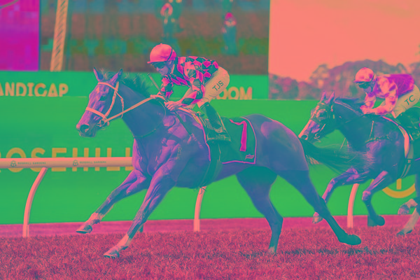 breednet images autumn glow rosehill 21595