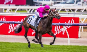breednet images fangirl james mcdonald 198116 courtney 8254