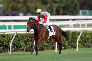 ka ying rising 2025 sprint cup hkjc photo