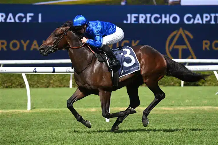 Horse broadsiding 201611 750x500 1