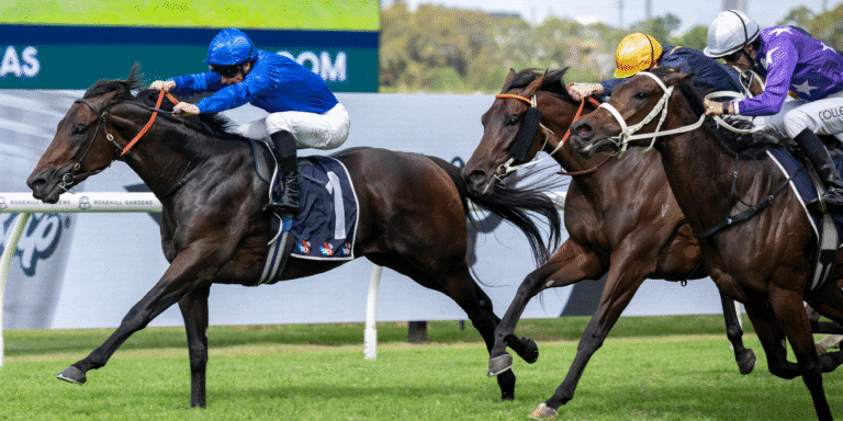 stallion BROADSIDING 4 thoroughbred stallion