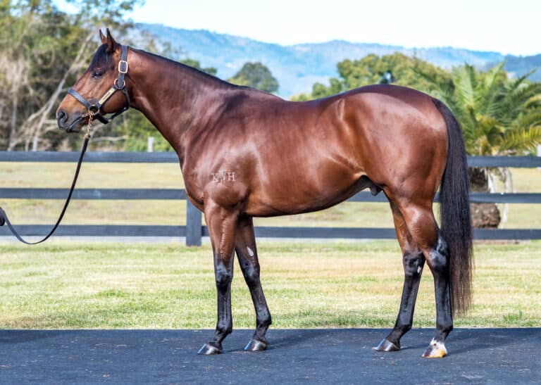 2022 06 Dubious Conformation Credit Katrina Partridge