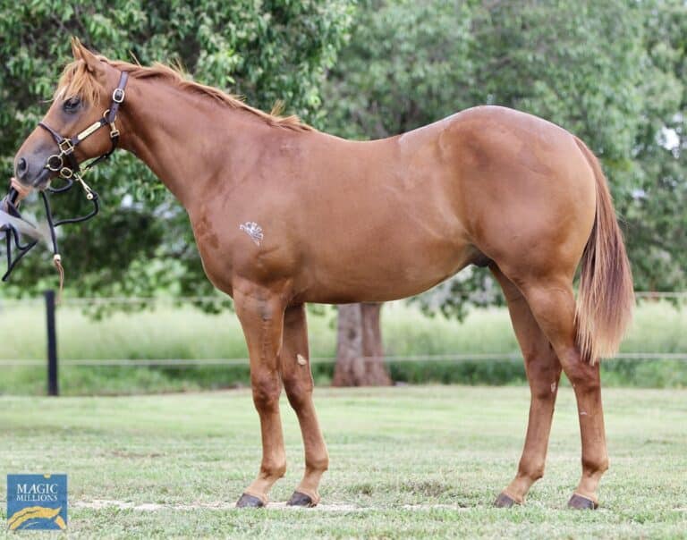 20008410 407d2038 9913 4489 901d 69f6a027f791