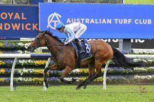 The ATC Under Strain: The Problems at the Australian Turf Club and What Comes Next In 2025