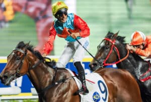 breednet images ka ying rising 21299