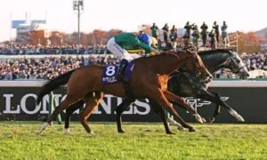The Japan Cup: Asia’s Grandest Thoroughbred Contest In 2025