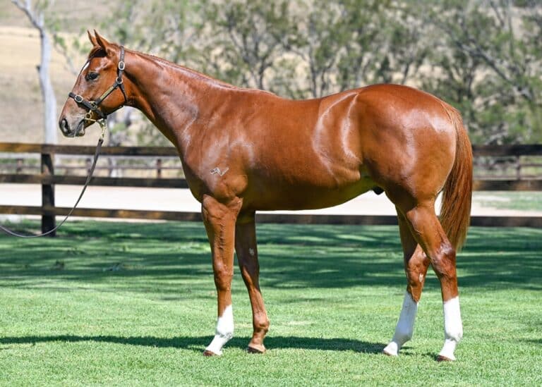 20017583 7bc762e6 3794 4de5 86f7 f3d57c5a31fe