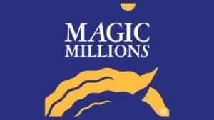 magic millions