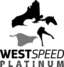 wetspeed platinum