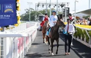 Race Horses for Sale in Australia And Consider a Proven Racehorse Syndicate with Kurrinda Bloodstock Syndications 
