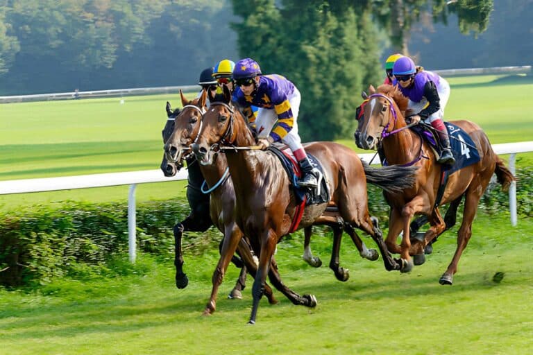 Horse Racing Ownership