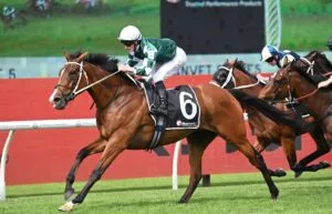 The Ranvet Stakes: A Pillar of the Sydney Autumn Carnival