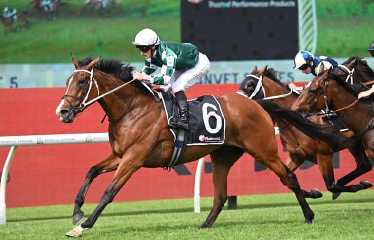 thumbnail Via Sistina 2303024 7956 1558x1000