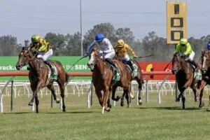 Horse Racing Horses for Sale: A Complete Guide to Finding, Evaluating, and Selling Thoroughbreds In 2026