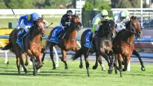 Horse Sales in Australia: The Powerhouse of the Thoroughbred Industry In 2026