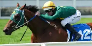 Sheza Alibi: The Rise of a Tough, Talented Australian Mare In 2026