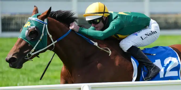 sheza alibi 151125 2x1rp