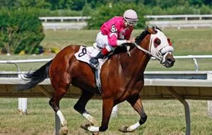 Buy a Racehorse: The Complete Guide to Thoroughbred Ownership In 2026