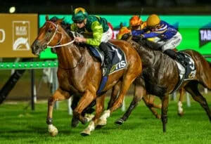 Yellow Brick: Queensland’s Tough, Consistent Star In 2026
