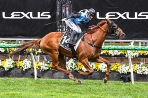 Half Yours Being Lame Today: The Harsh Reality of Thoroughbred Racing In 2026